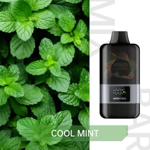 FISCO Mix Bar 12000 Puffs Cool Mint — Disposable Vape Australia